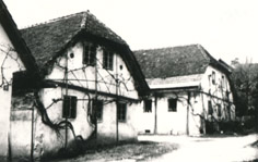 eika image